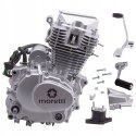 SILNIK MORETTI PIONOWY 162FMJ, 150CC 4T, 5-BIEGOWY Martinelli